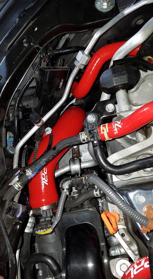 11th Gen Honda Civic PRL Motorsports 2016+ 1.5T Civic Coolant Hose Upgrade Kit 3
