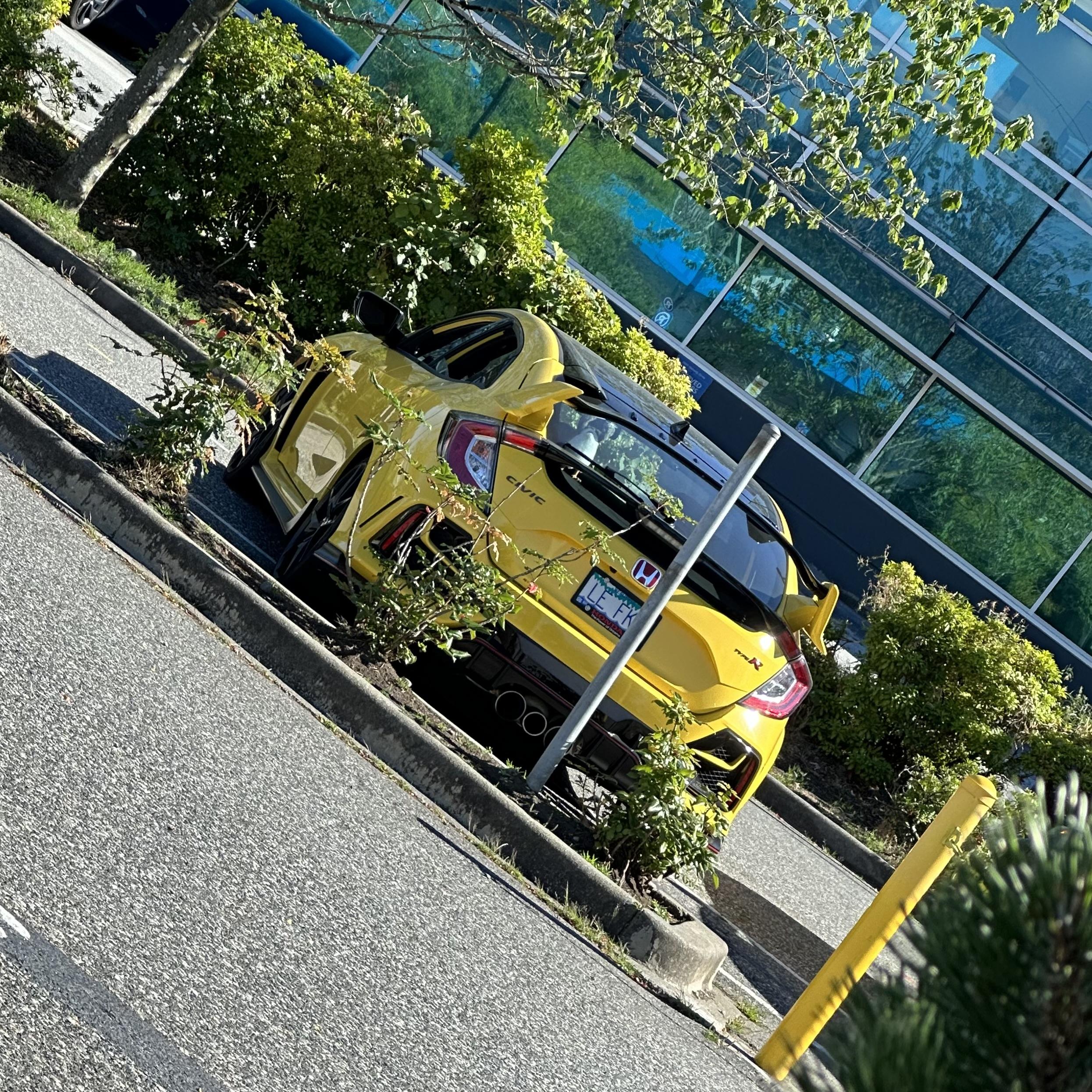IMG_2522.jpeg