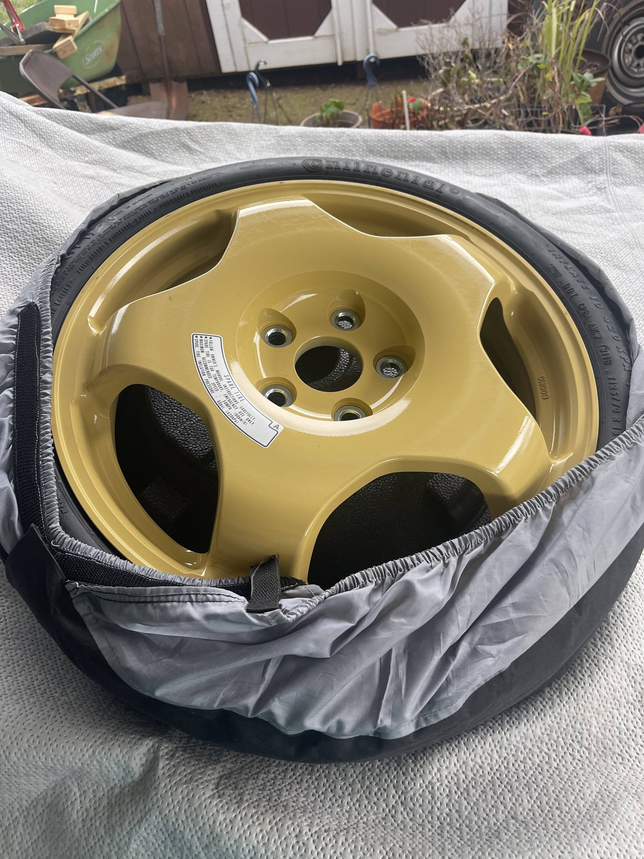 11th Gen Honda Civic FL5 Spare Tire ? IMG_3591