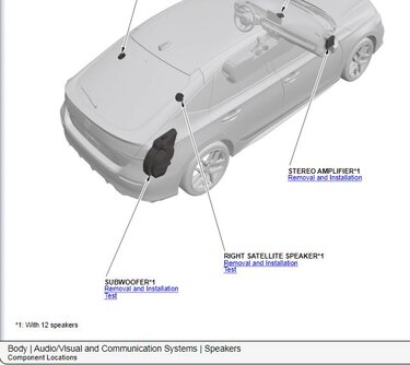 11th Gen Honda Civic Bose 12 speaker system HB rthrthrehreh.JPG