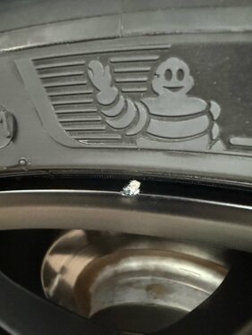 IMG_1519.jpeg